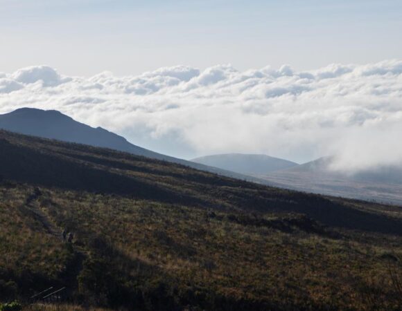 The best 8 Days Rongai Route – Kilimanjaro Climbing 2026/2027