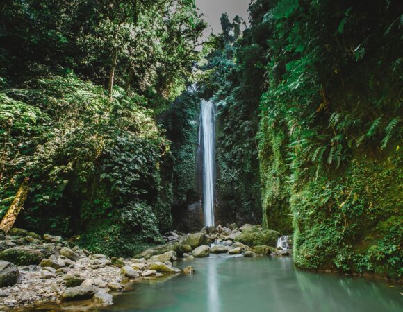 The best 1 day Materuni Waterfalls & Cofee Tour 2026/2027