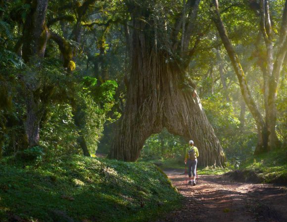 The best 3 Days Mount Meru Climb 2026/2027