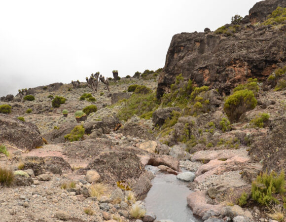 Best Time to Climb Mount Kilimanjaro with Relax Africa Tours and Safaris