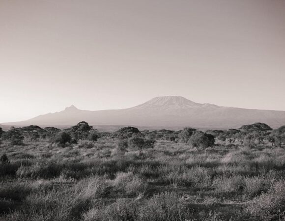 The Best Lemosho Route Success Rate 2026/2027 – Higher Summit Chances & Expert Strategy