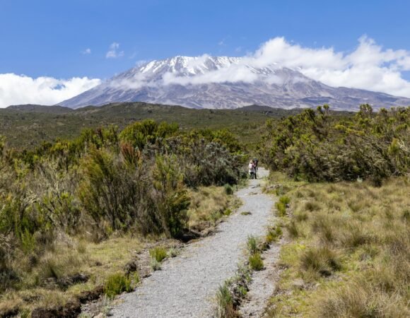 8 Days Lemosho Route 2026, 2027, 2028 – Scenic Kilimanjaro Trekking Adventure