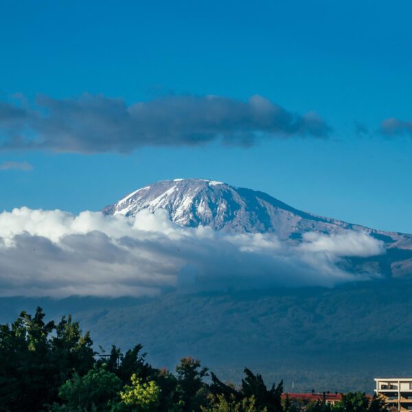 best 9 Days kilimanjaro climbing via Northern Circuit Route 2026/2027