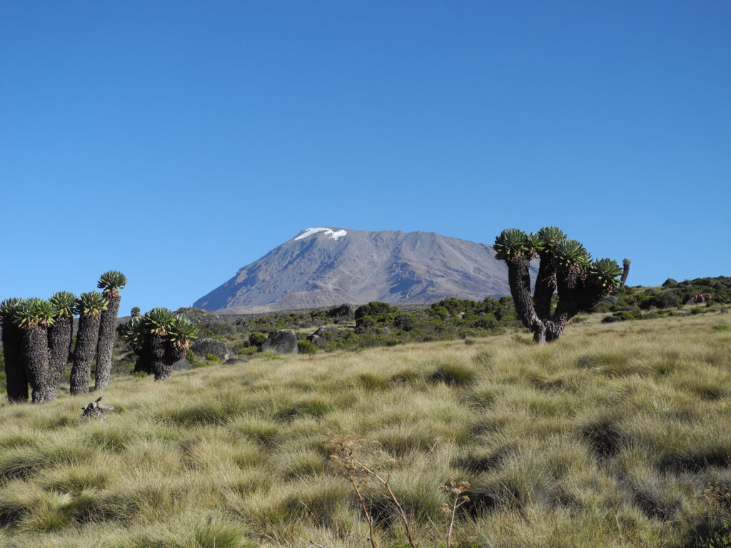 Kilimanjaro Altitude Sickness Guide – 9 Powerful Prevention Tips, Symptoms & Safety Secrets