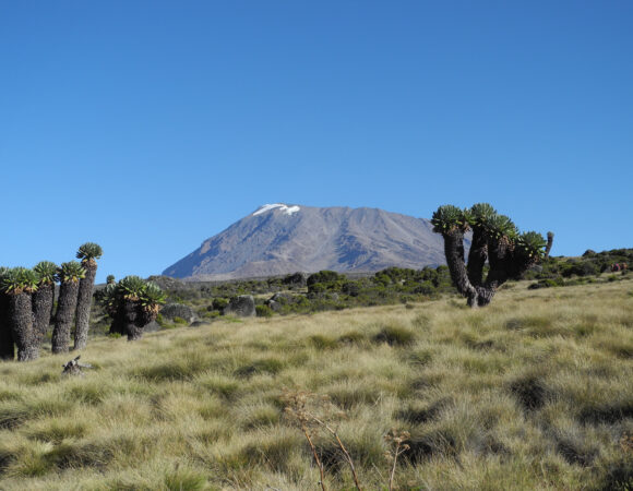 Kilimanjaro Altitude Sickness Guide – 9 Powerful Prevention Tips, Symptoms & Safety Secrets
