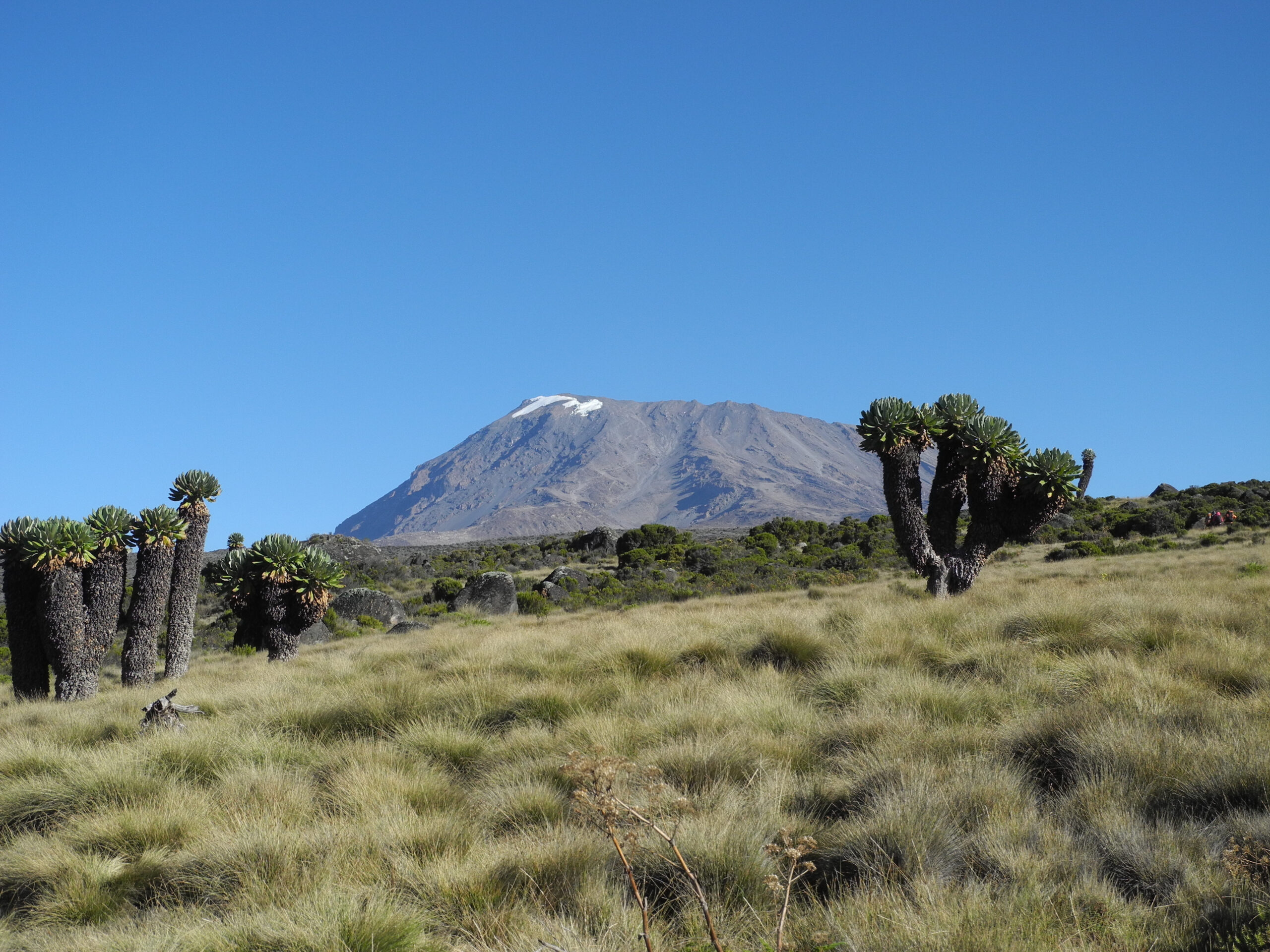 Kilimanjaro Altitude Sickness Guide – 9 Powerful Prevention Tips, Symptoms & Safety Secrets