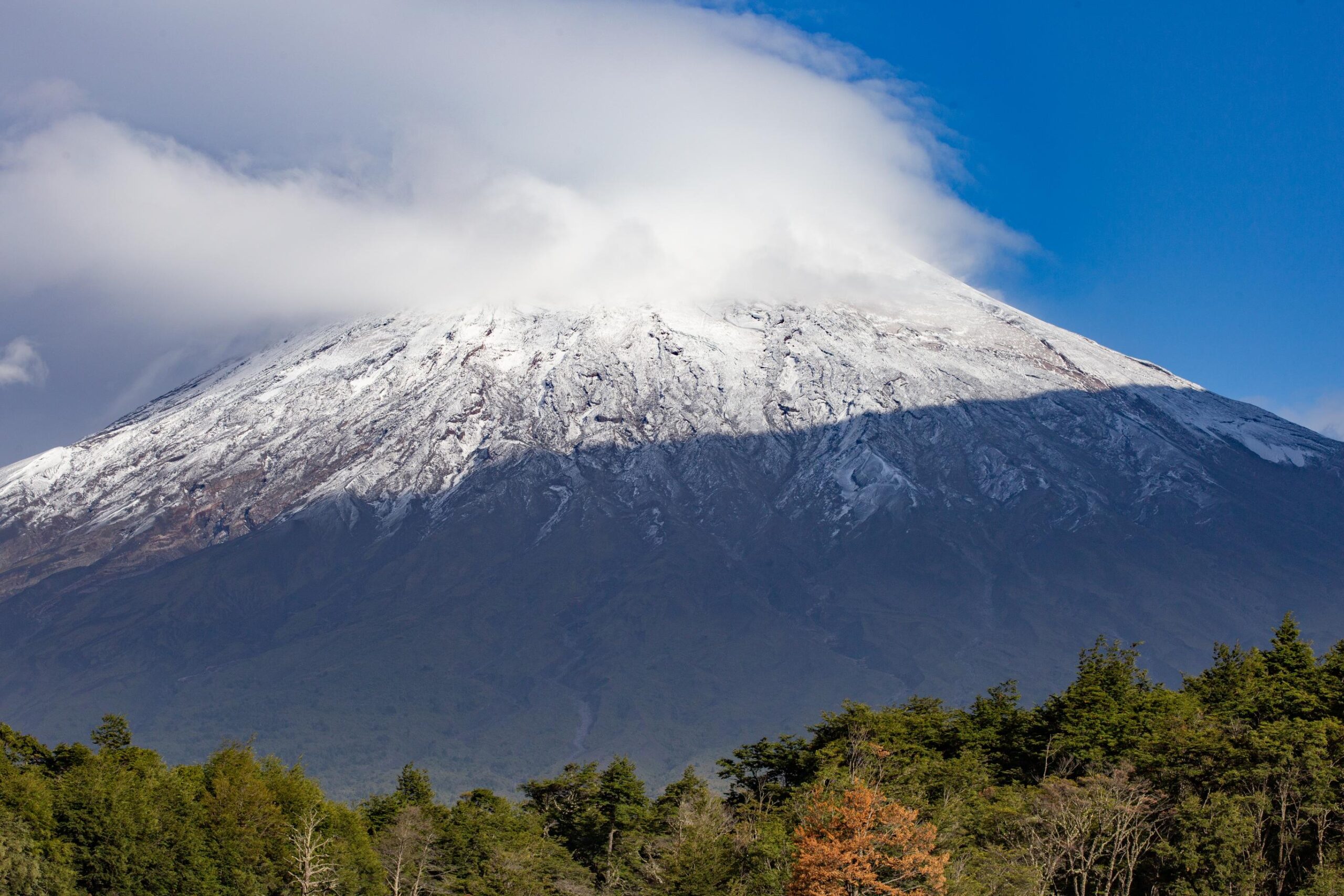 How Hard Is It to Climb Mount Kilimanjaro? Complete Difficulty Guide (2026–2028)