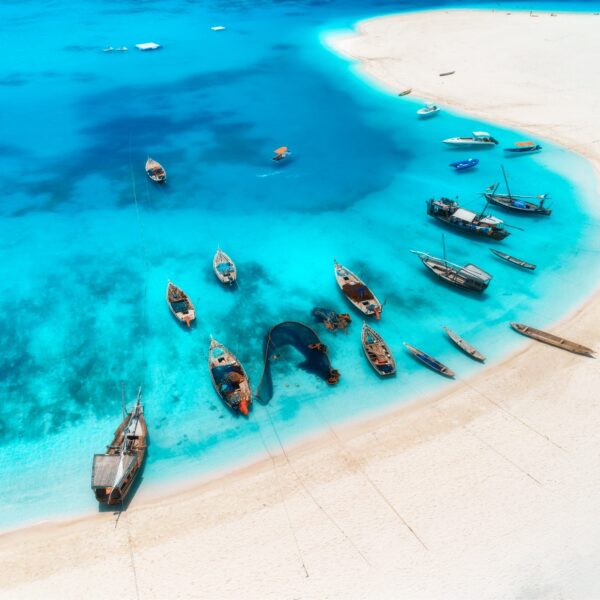 8 Days Tanzania Wildlife Safari + Zanzibar 2026,2027,2028 – Ultimate Luxury Adventure Experience