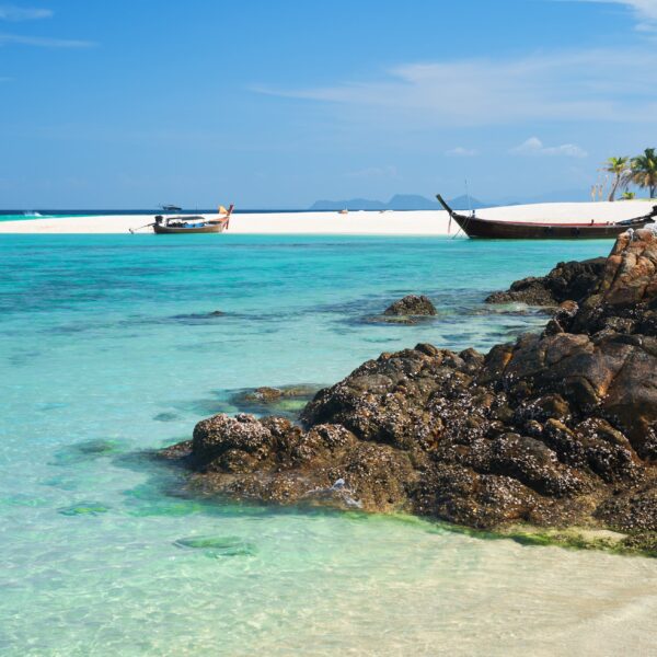 9 Days Tanzania Safari + Zanzibar 2026,2027,2028