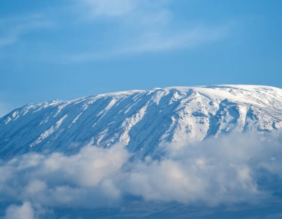 Best 7 Days Lemosho Route 2026,2027,2028 – Complete Kilimanjaro Climbing Package