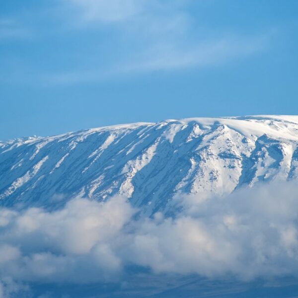 Best 7 Days Lemosho Route 2026,2027,2028 – Complete Kilimanjaro Climbing Package