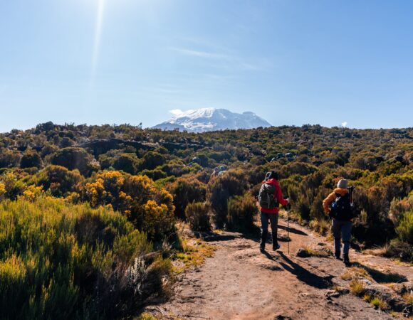 Best 7 Days Rongai Route 2026,2027,2028 – The Ultimate Kilimanjaro Experience