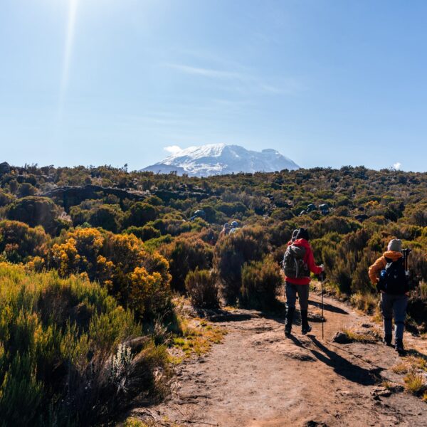 Best 7 Days Rongai Route 2026,2027,2028 – The Ultimate Kilimanjaro Experience