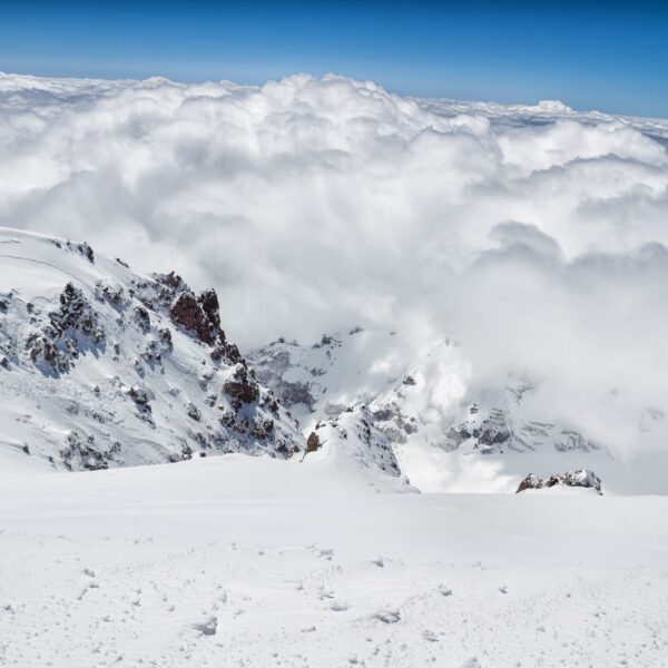 Best 7 Days Lemosho Route 2026,2027,2028 – Complete Kilimanjaro Climbing Package