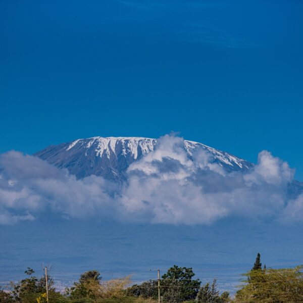 Best 6 Days Rongai Route 2026, 2027, 2028 – Ultimate Kilimanjaro Climb Experience