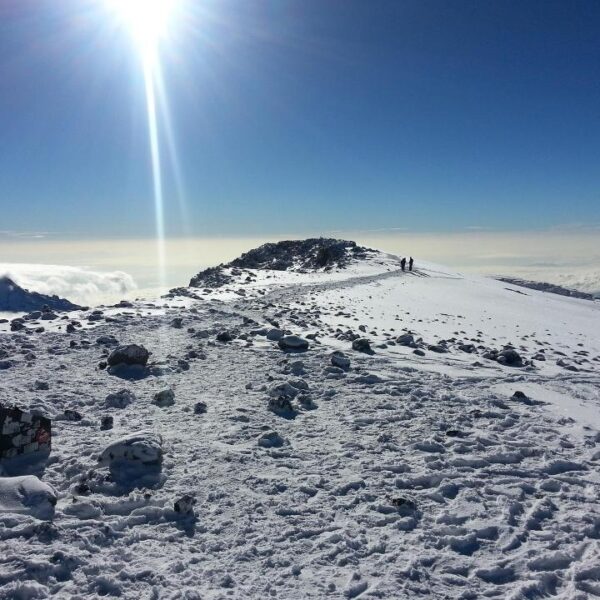 Best 5 Days Marangu Route Kilimanjaro 2026 / 2027 – Ultimate Success Guide with Proven Itinerary