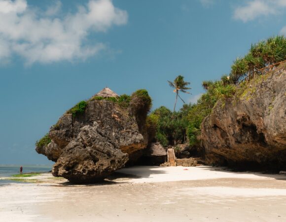 13 Days Tanzania Safari + Zanzibar 2026,2027,2028: The Ultimate Luxury Wildlife & Island Escape