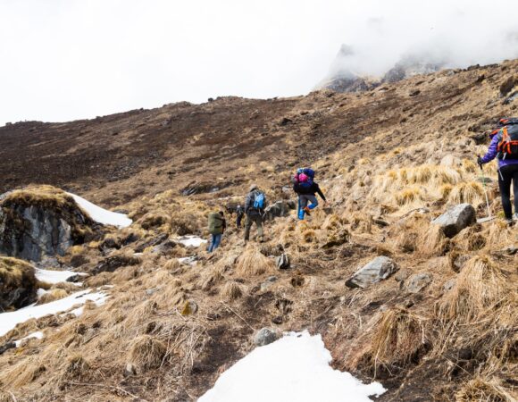 7 Days Umbwe Route 2026, 2027, 2028 – Ultimate Kilimanjaro Climb Adventure Package