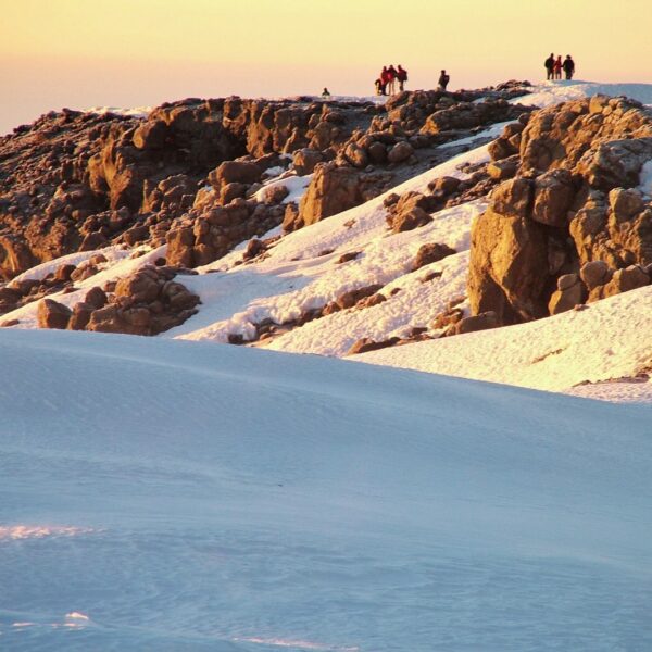 7 Days Umbwe Route 2026, 2027, 2028 – Ultimate Kilimanjaro Climb Adventure Package