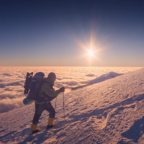8 Days Lemosho Route 2026,2027,2028 – Ultimate 8-Day Kilimanjaro Adventure Package for a Life-Changing Summit