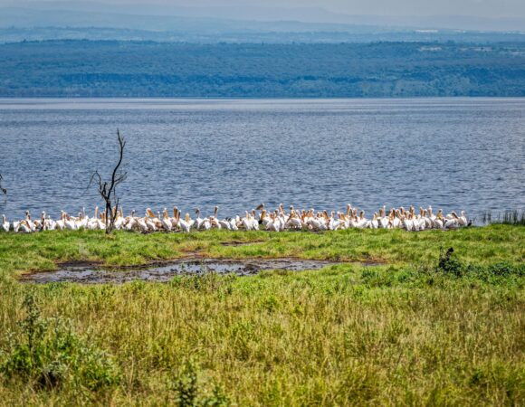 Getting a Tourist Visa for Tanzania 2026, 2027 and 2028 – 7 Powerful Tips for Easy Approval