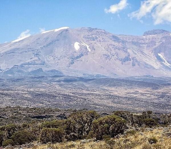 Northern Circuit Kilimanjaro Climbing