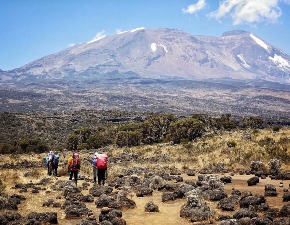 Kilimanjaro Day Hike – Marangu Route Rainforest Trek 2026, 2027 and 2028, the perfect introduction to Kilimanjaro