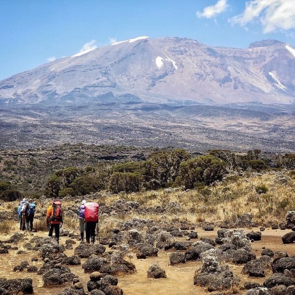 Kilimanjaro Day Hike – Marangu Route Rainforest Trek 2026, 2027 and 2028, the perfect introduction to Kilimanjaro